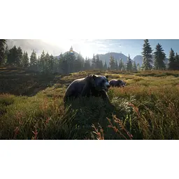Ключ активації Microsoft TheHunter: Call of the Wild - Silver Bundle для Xbox One/Series - мініатюра 5