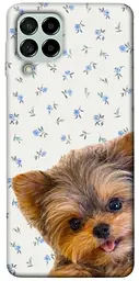 TPU чохол Demsky Cute Yorkie для Samsung Galaxy M53 5G