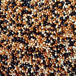 Просо для декоративних птахів EcoFood 750 г 6473 - мініатюра 2