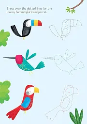 Animals to Copy and Trace. Little Wipe-Clean - мініатюра 8
