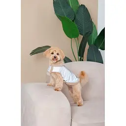 Шлея-жилет Pet Fashion Rob для собак розмір S - мініатюра 4