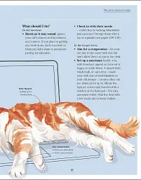 What's My Cat Thinking? Understand Your Cat to Give Them a Happy Life - мініатюра 12