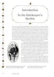 Faithful unto Death. Pet cemeteries, animal graves and eternal devotion - мініатюра 8