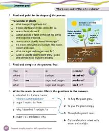 Grammar Goals. Level 5. Pupil's Book Pack - мініатюра 7