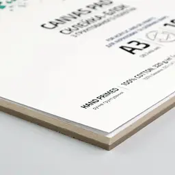 Склейка-блок з грунтованого полотна Rosa Studio  А3 320 г/м² др. зерно  10 аркушів  - мініатюра 3