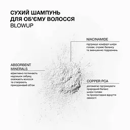 Сухий шампунь для об'єму волосся Blowup Triology - мініатюра 4
