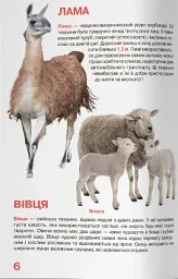 Велика книжка. Свійські тварини - - мініатюра 3