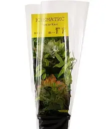 Клематис Agro-Market Se-No-Kaze 1 саджанець в упаковці (38144) - мініатюра 3