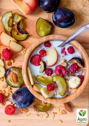 Саджанець Agro-Market Слива Штутгардт (осінній сорт, пізній термін дозрівання) 1 шт. в упаковці (43989) - мініатюра 2