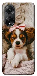 TPU чохол Demsky Sleepy spaniel для Oppo A58 4G