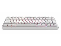 Клавіатура Dark Project ALU81 Terra Nostra ENG/UA White (DPKB_NOSTRA_81_ANSI_WHITE_UA) - мініатюра 3