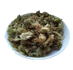 Хміль шишки Гімей Хмелена Humulus lupulus
