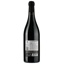 Вино Botter Torracina Nero d'Avola Appassite Sicilia, 13,5%, 0,75 л - мініатюра 2