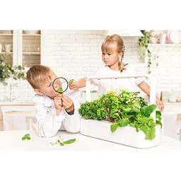 Стартовий набір для вирощування еко-продуктів Click & Grow Smart Garden 9, бежевий (8875 SG9) - мініатюра 6