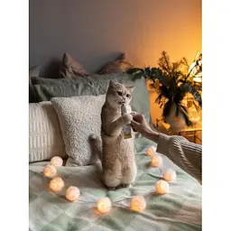 Вітамінна паста GimCat Expert Line Relax для котів, 50 г - мініатюра 4