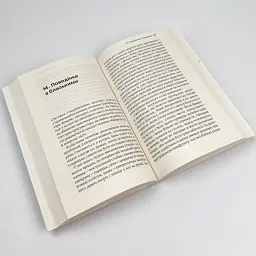 Бачити українською — Дубчак Ольга | Віхола, книга українською, нова, м'яка - мініатюра 3