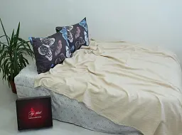 Комплект постільної білизни літній Tag Tekstil 160х235 NP-11