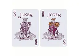 Карти гральні United States Playing Card Company Bicycle Verbena (ВР_КИБВ) - мініатюра 6