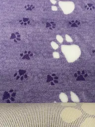 Килимок для собак Vetbed Big Paws violet 160х200 см (VB-021-2) - мініатюра 5