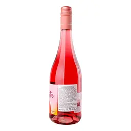 Напій винний Katlenburger Momentivo Wild Berry Spritz 4.5% 0.75 л - мініатюра 3