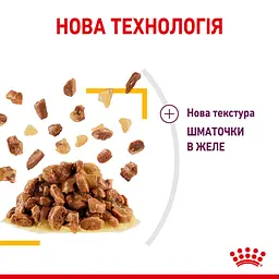 Вологий корм для дорослих котів Royal Canin Sensory Smell Jelly, шматочки в желе, 85 г - мініатюра 4