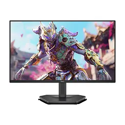 Монітор Dell SE2426HG (210-BTTF)