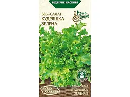 Салат-бебі НАСІННЯ УКРАЇНИ (20 пачок) КУДРЯШКА ЗЕЛЕНА НВ 1г