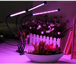 Ультрафіолетова світлодіодна фітолампа GrowLight для рослин (3 лампи) з таймером - мініатюра 7