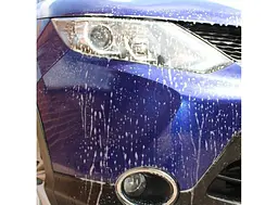 Очищувач Бітуму Антимошка Turtle Wax Bug & Tar Remover 500 мл (53648) - мініатюра 8