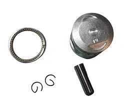 Delta 70 Поршень (у зборі) 0.25 (O47.25mm) TMMP