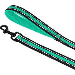 Повідець для собак BronzeDog Mesh, розмір S, 200х1,6 см, ментоловий - мініатюра 4
