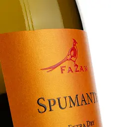 Вино ігристе Cantina del Ciabot Vino Spumante Extra Dry біле сухе 0.75 л - мініатюра 3