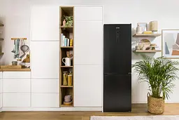 Холодильник Gorenje NRK619EABXL4 - мініатюра 19