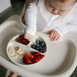 Тарілка  BabyOno на три секції силіконова з присоскою бежева (1482/04) - мініатюра 3