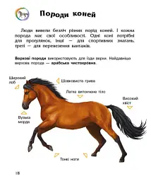 Енциклопедія дошкільника: Коні - мініатюра 2
