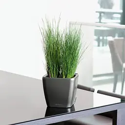 Вазон Lechuza Quadro Premium LS 21 антрацит (16123) - мініатюра 4
