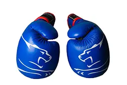 Боксерські рукавиці (PP-3018) PowerPlay 14 унцій fit0003246 - мініатюра 2
