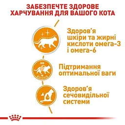 Вологий корм для кішок з чутливою шкірою і проблемною шерстю Royal Canin Hair Skin шматочки в желе 85 г - мініатюра 6