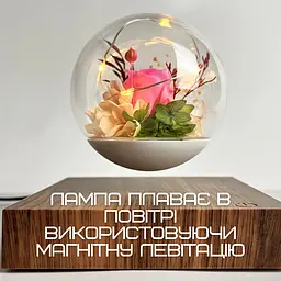 Магнітний левітуючий нічник ширяє квітка троянда led світильник у кулі обертається HCNT teh0032269 - мініатюра 3