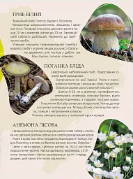 Перлини природи України - мініатюра 3