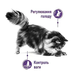 Сухий корм для стерилізованих котів схильних до набору зайвої ваги Royal Canin Appetite Control 2 кг (25630209) - мініатюра 2