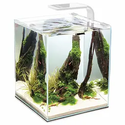 Акваріумний набір Aquael Shrimp Set Smart білий прямий 19 л