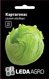 Салат айсберг Картагенас 10 шт Rijk Zwaan Leda Agro