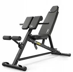 Лавка тренувальна Trex Sport TX-200B із партою Скотта