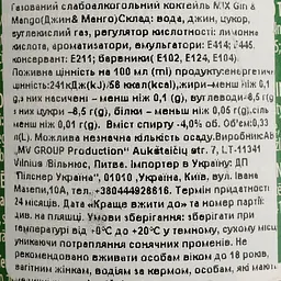Напій слабоалкогольний MIX Gin&Mango 4% 0.33 л - мініатюра 4