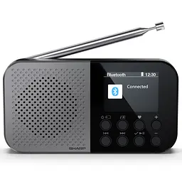 Радіоприймач Sharp DR-P520 Storm Grey - мініатюра 2