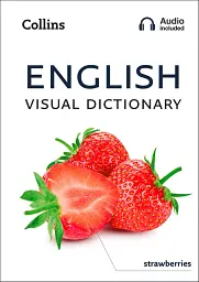 Collins Visual Dictionary