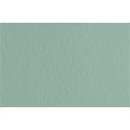 Папір для пастелі Fabriano Tiziano B2 (50х70см) №13 salvia 160г/м2 сіро-зелений середнє зерно