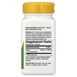 Ниацин (B-3) Niacinamide Non-Flushing 500 mg 100 Capsules Nature's Way vit0005304 - миниатюра 2