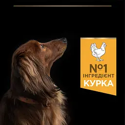 Сухий корм для дорослих собак дрібних порід Purina Pro Plan Adult Small & Mini, з куркою, 7 кг (12376022) - мініатюра 6